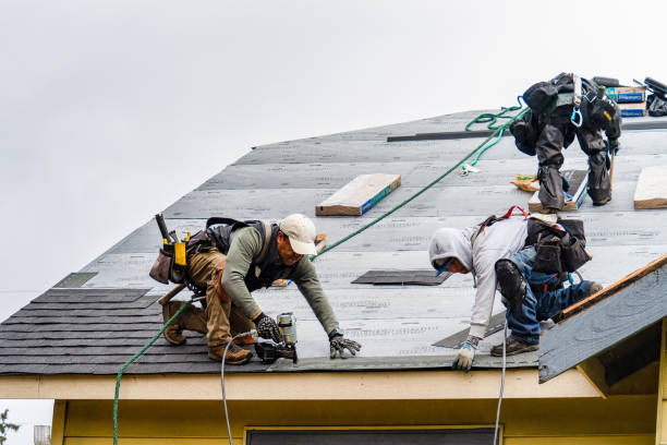 Professional Roofing technician working in Lee Center, IL